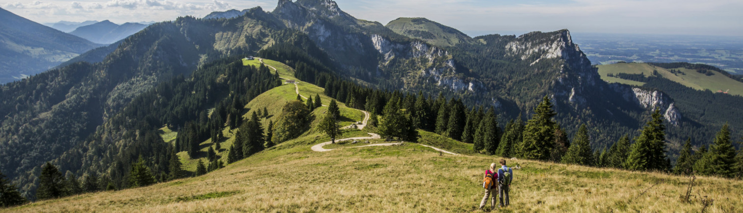 Wanderung zur Piesenhausener Hochalm. Blick auf die Kampenwand.