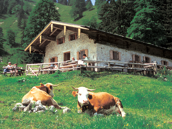 Staudacher Alm Staudach-Egerndach