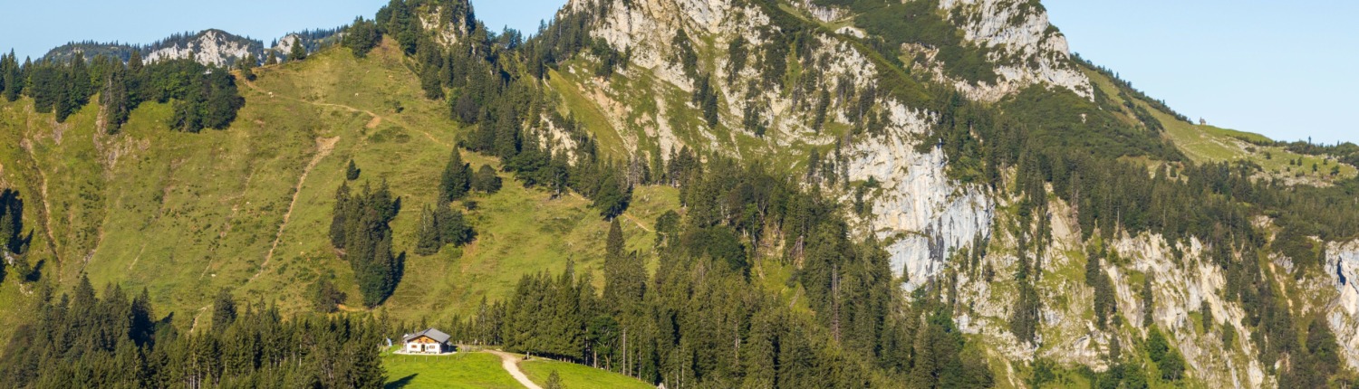 Piesenhausener Hochalm