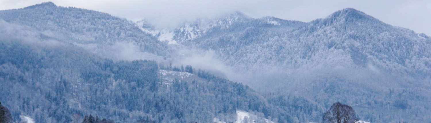 Winter hiking trail through the Staudacher Moor