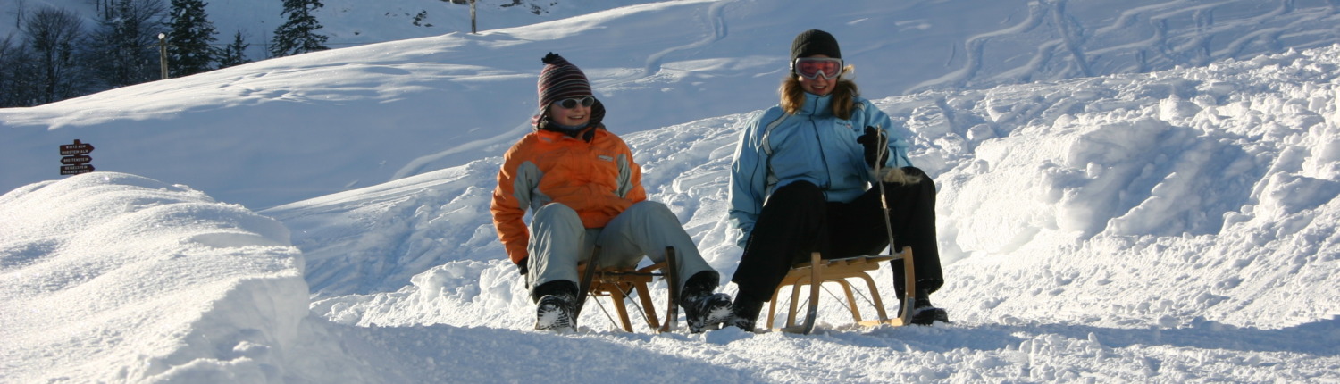 Tobboggan run Geigelstein
