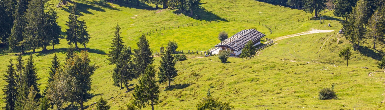 Alpine pasture hike Oberauerbrunst-Alm, Piesenhausener Hochalm, Sonnenalm, Steinbergalm