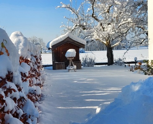 Garten im Winter