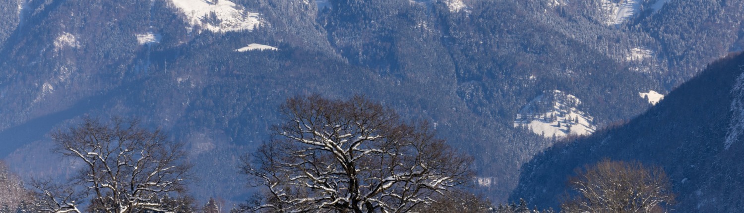Winter hiking trail in Schleching