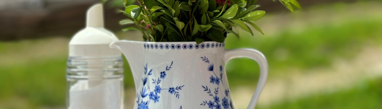 Circular tour Vorderalm – Brachtalm – Staudacher Alm