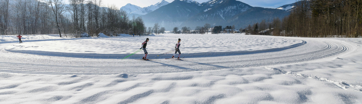 Baumgarten – Runde