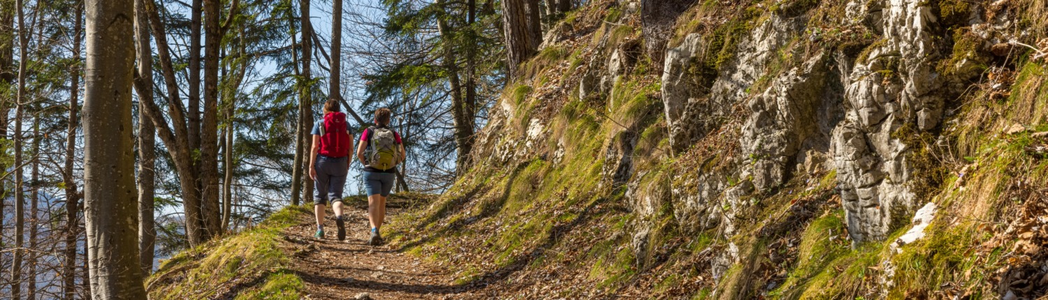 Circular hike: Staudacheralm – Schnappenkirche