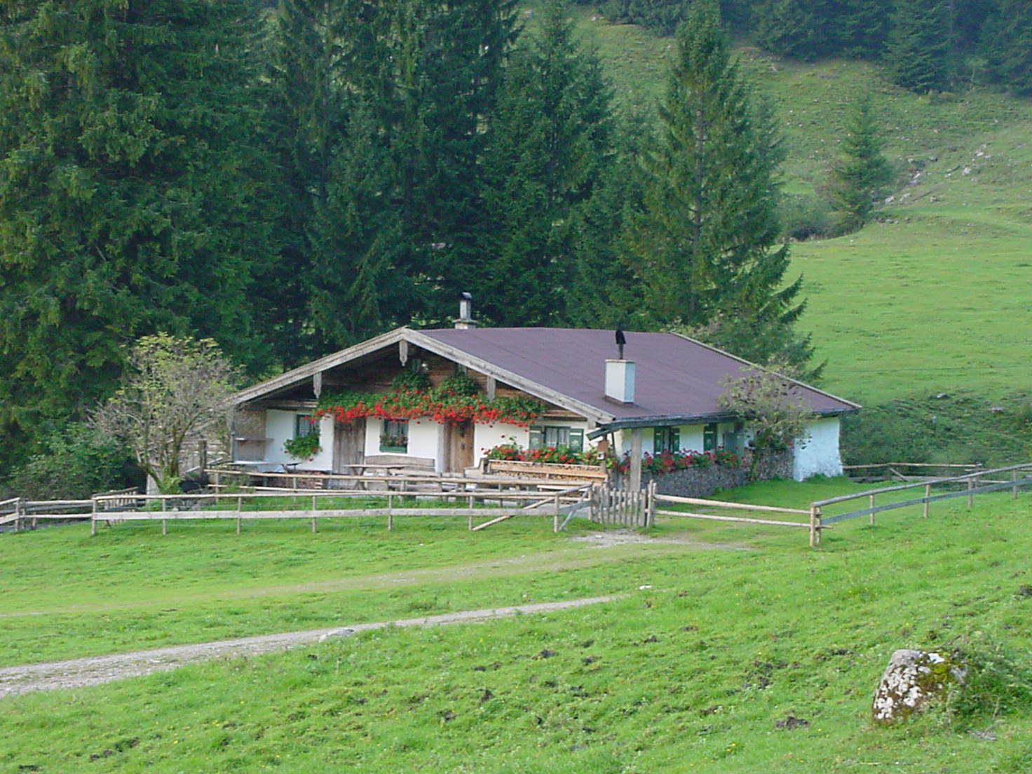 Vordere Dalsen-Alm Vordere Dalsen-Alm