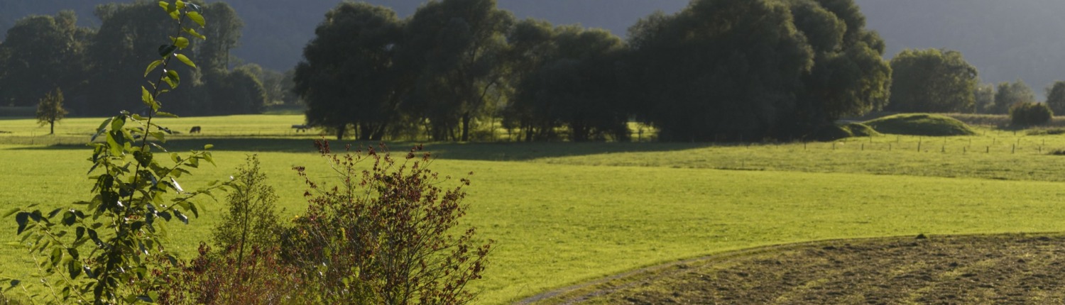 MTB 28 Staudacher Runde