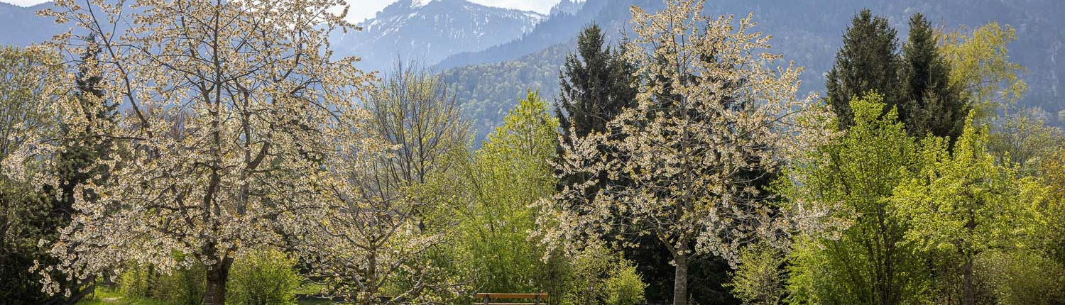 Römerstein in Staudach-Egerndach