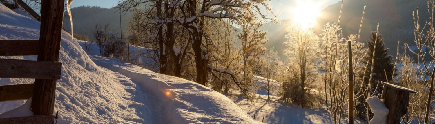“Richard Strauss” Winter hiking trail to Unterwössen