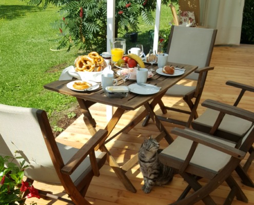 Blick vom Wintergarten auf den Garten