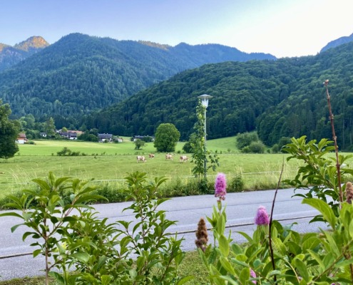 Ausblick von der Terrasse