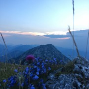 Hochgern