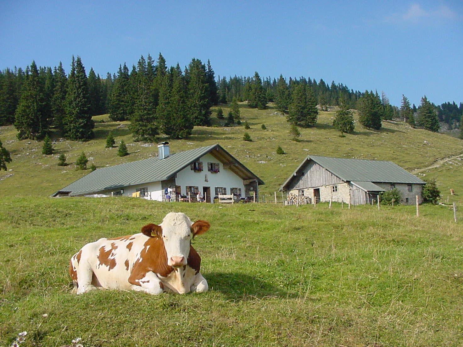 Hofbauern-Alm Hofbauern-Alm