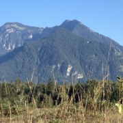 Schnappenberg und Hochgern