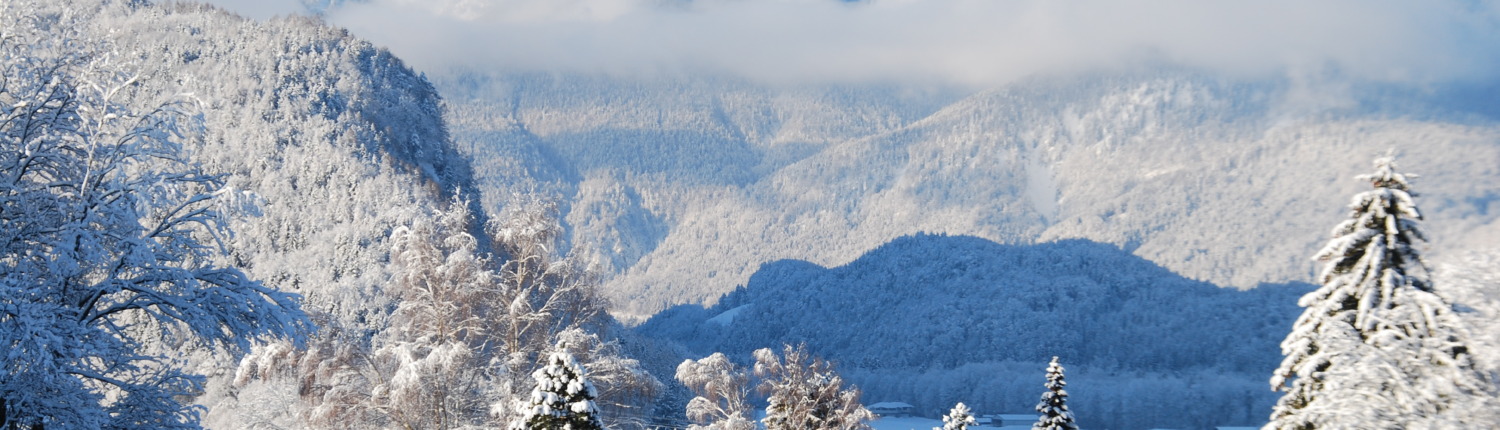 Naturrodelbahn am Balsberg