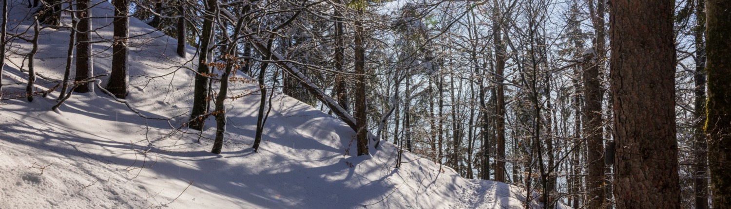 Snowshoe hike via Blasi-Alm to Ettenhausen