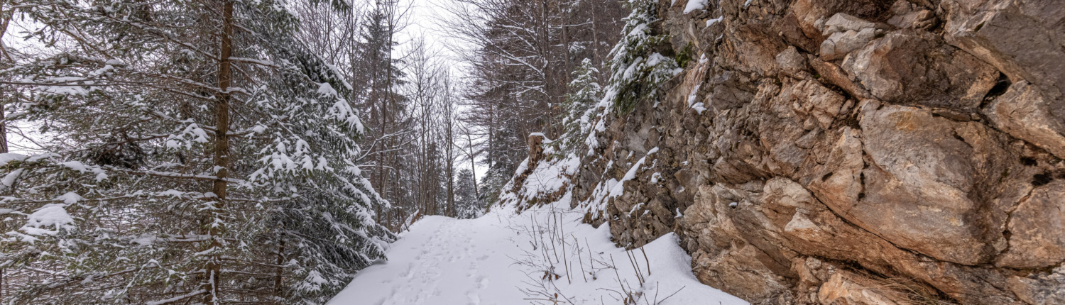 Via Hofkapelle to cable car valley station Hochplattenbahn