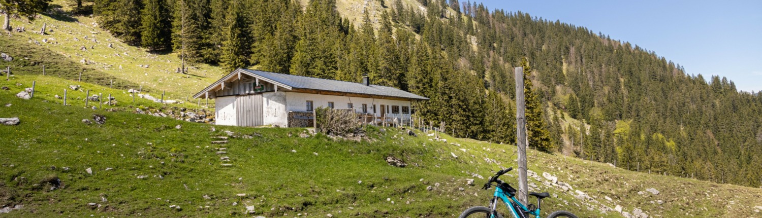 Alm hike  to Haidenholz-Alm