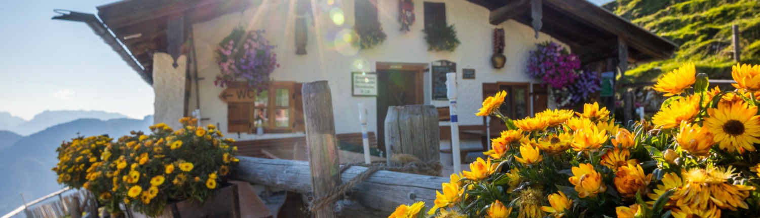 Almwanderung zur Rechenberg-Alm