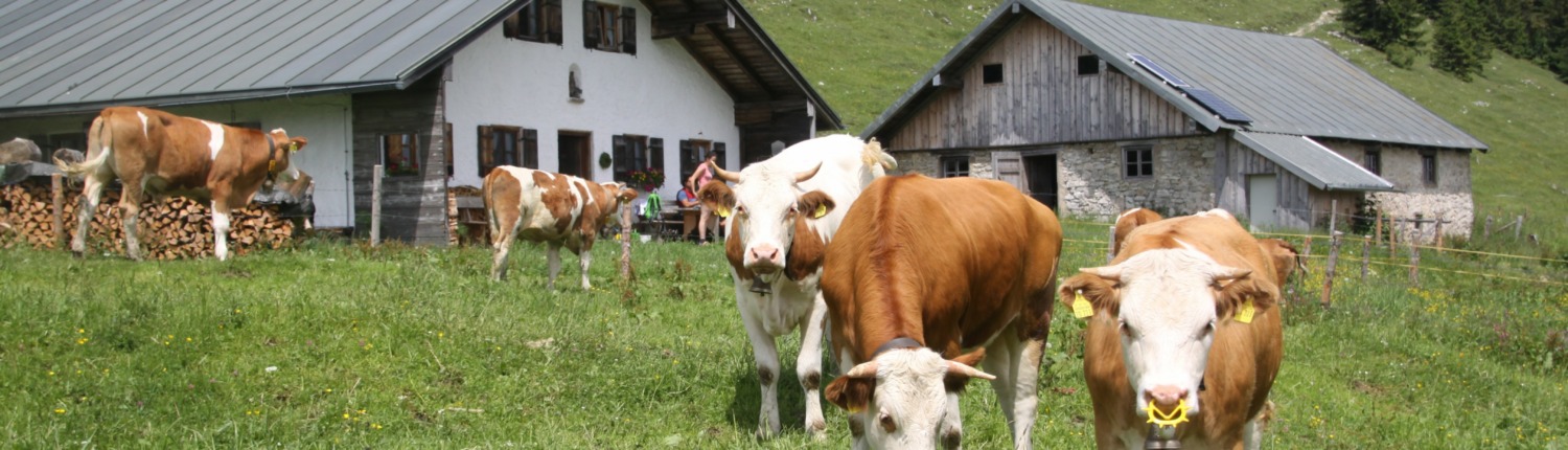 Bike and Hike-Tour via Hofbauern-Alm to Sonnenalm