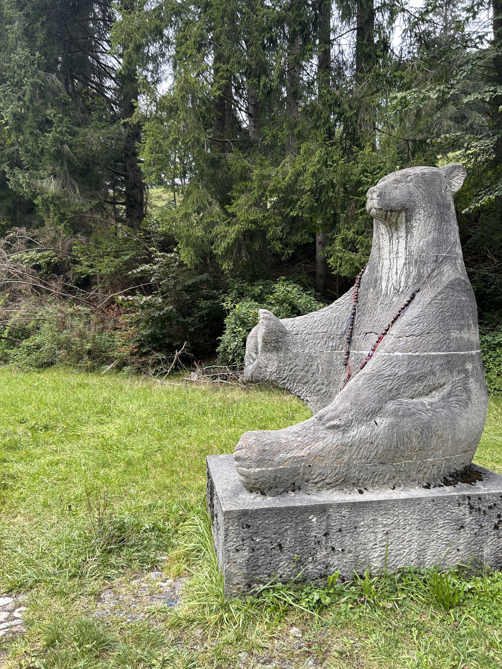 Bärenparkplatz Bärenparkplatz