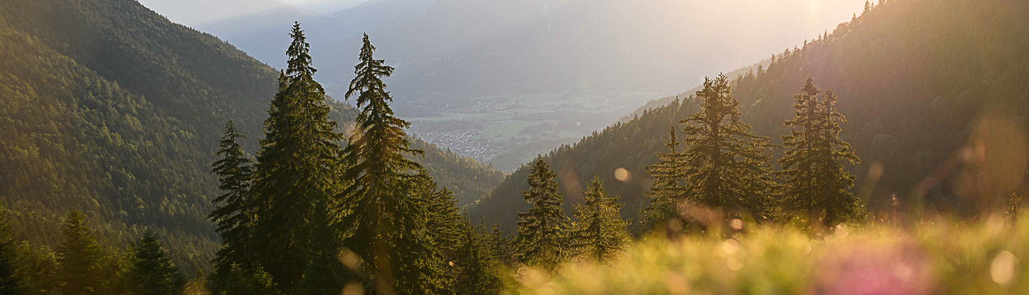 Sommer im Achental, Landschaft Sommer im Achental, Landschaften genießen