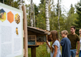 Sommer im Achental, Moorrundweg erkunden