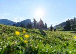 Sommer im Achental, Wandern, Bergwalderlebnisweg