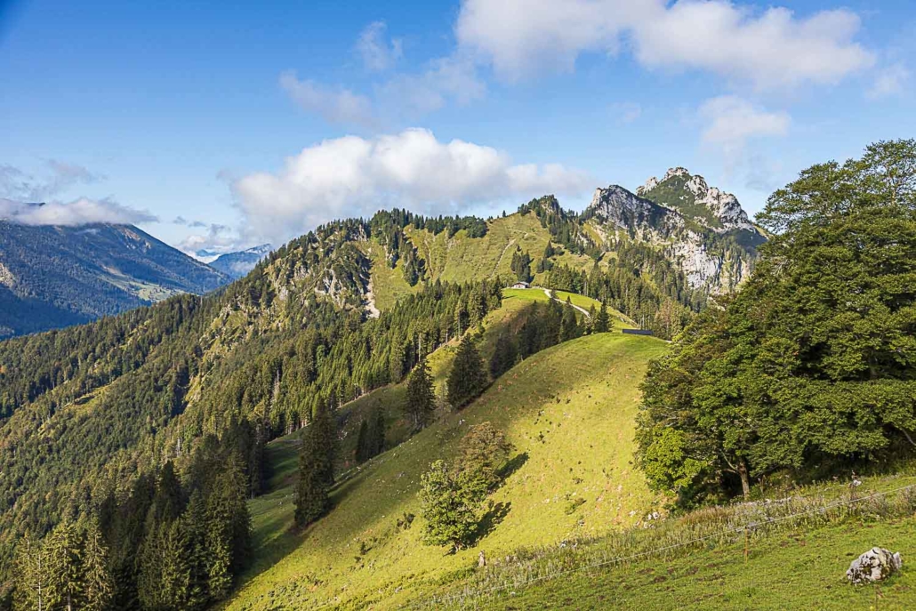 Blick zur Kampenwand, Sommer