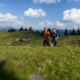 Wandern Sommer Achental