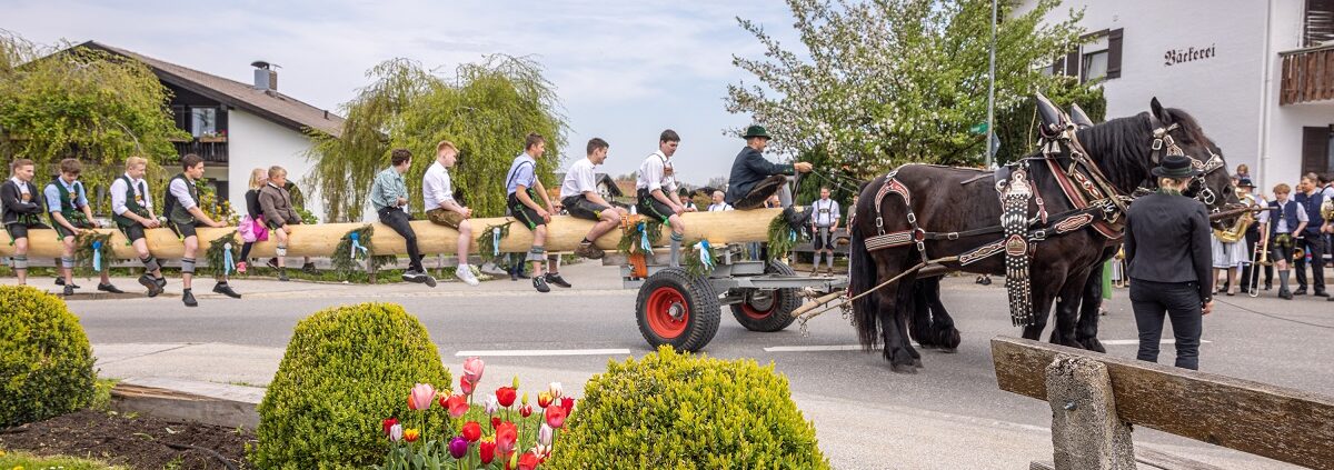 Brauchtum Achental, Maibaum aufstellen