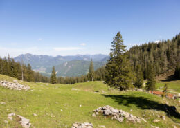 Haidenholzalm, Sommer im Achental
