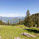 Haidenholzalm, Sommer im Achental