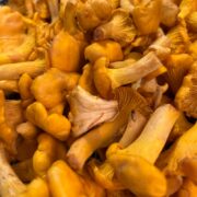 Rahmschwammerl: Ein Rezept für Schwammerl Pfifferlinge