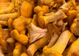 Rahmschwammerl: Ein Rezept für Schwammerl Pfifferlinge
