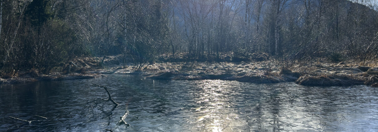 Staudach-Egerndacher Moor, Moorrundweg im Winter
