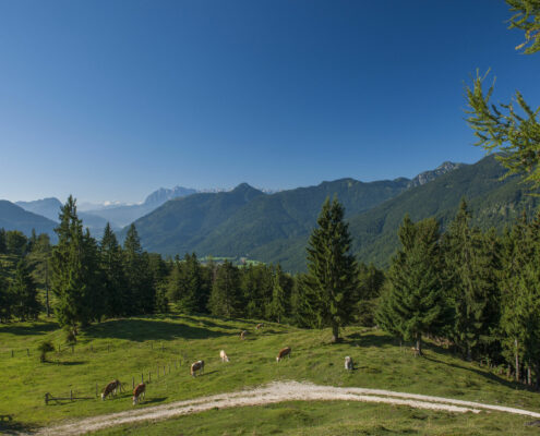 Oberauerbrunstalm