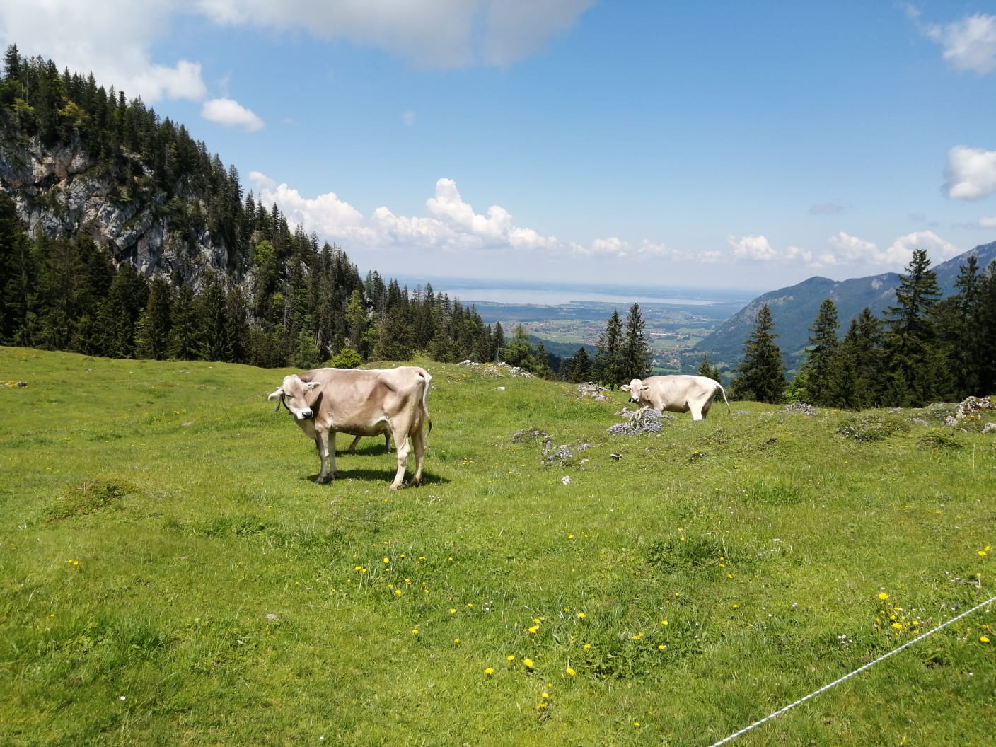 Blick zum Chiemsee