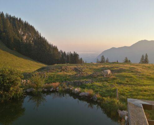 Stoibenmöseralm