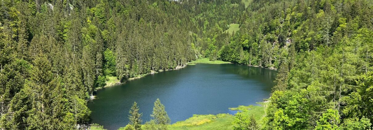 Taubensee, das blaue Auge des Chiemgaus