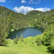 Taubensee, das blaue Auge des Chiemgaus