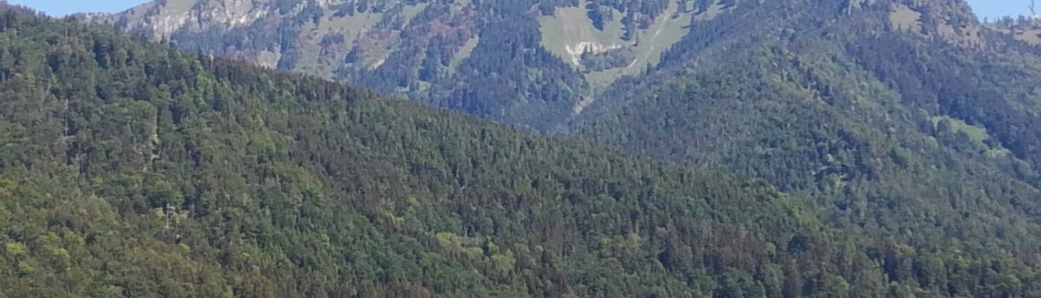 Ferienwohnung Adlerhorst