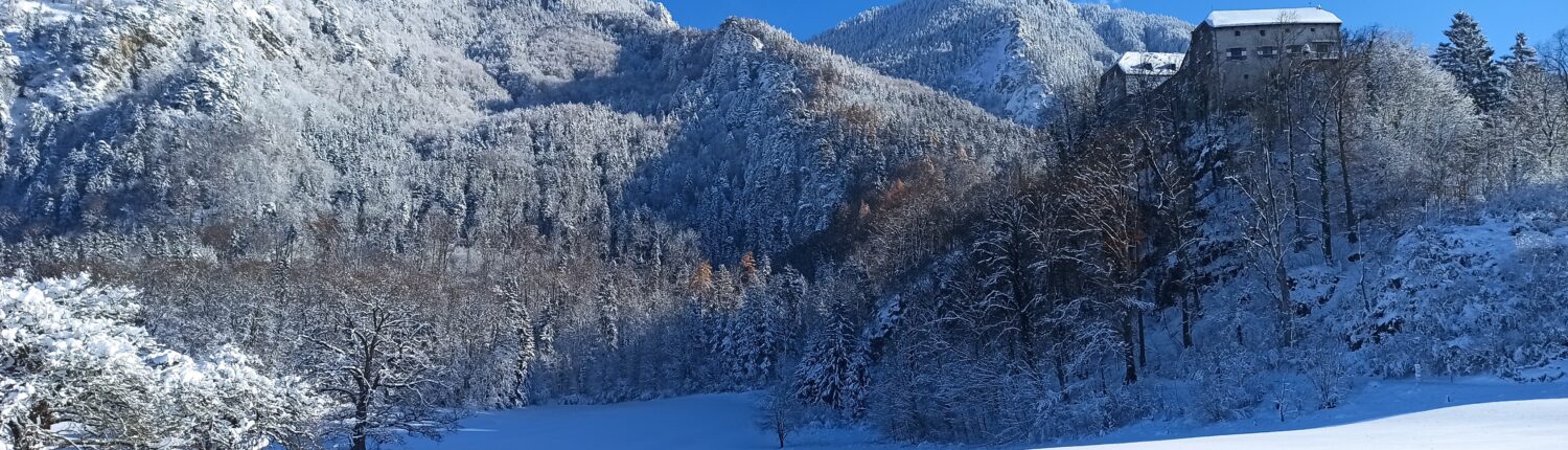 Fewo am Glückswegerl
