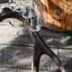 naturhandwerkerei-2231668432753309