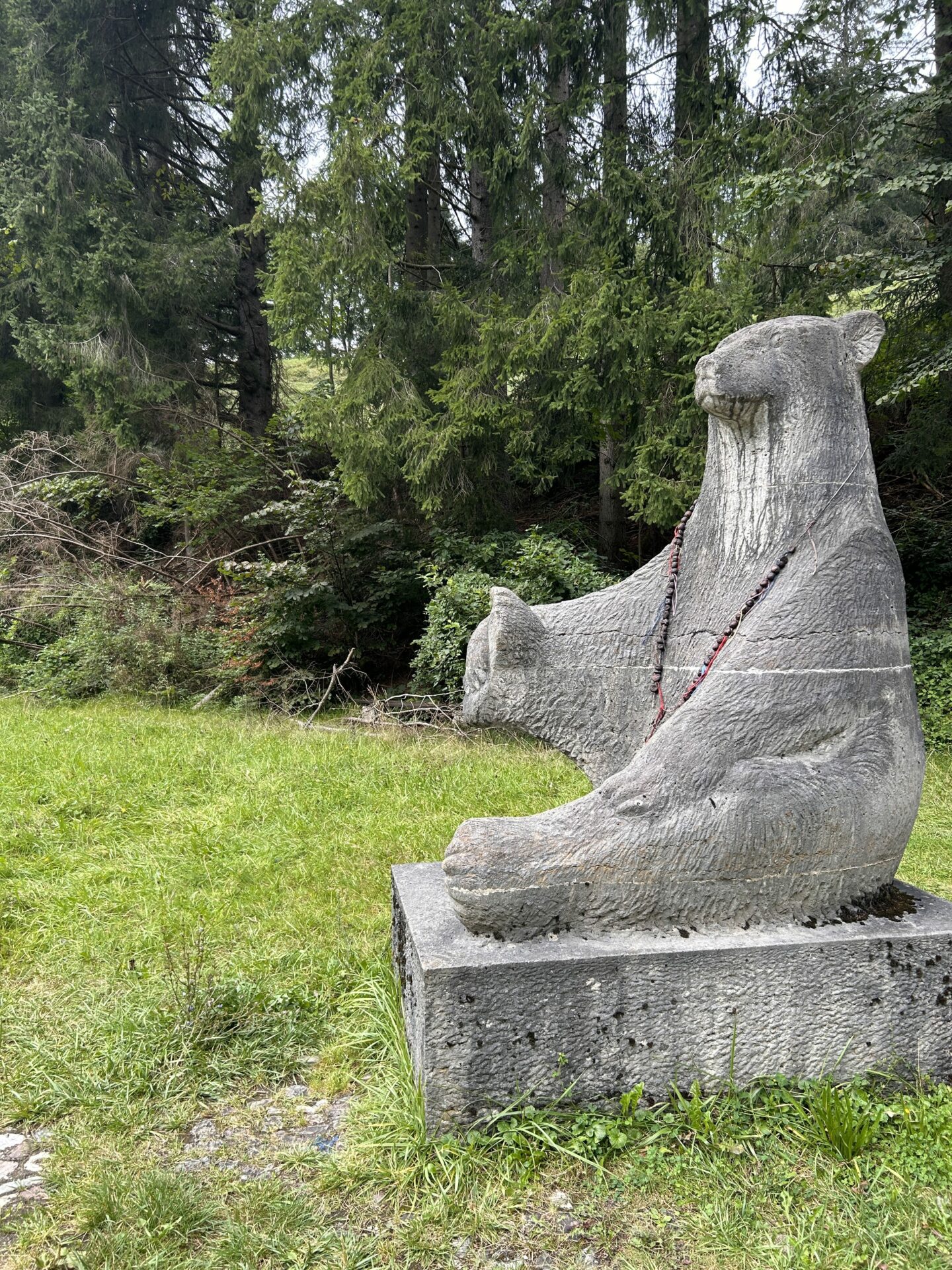 Bärenparkplatz Bärenparkplatz