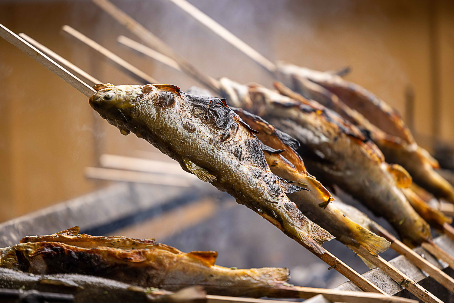 steckerlfisch-rs-1 steckerlfisch-rs-1