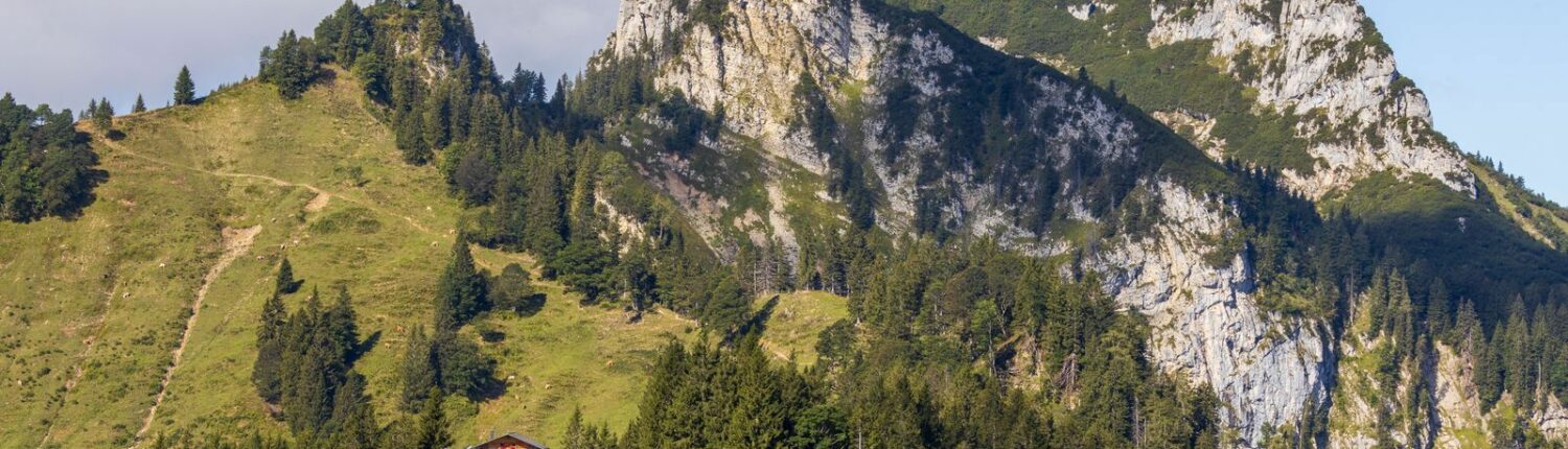 Zur Piesenhauser Hochalm