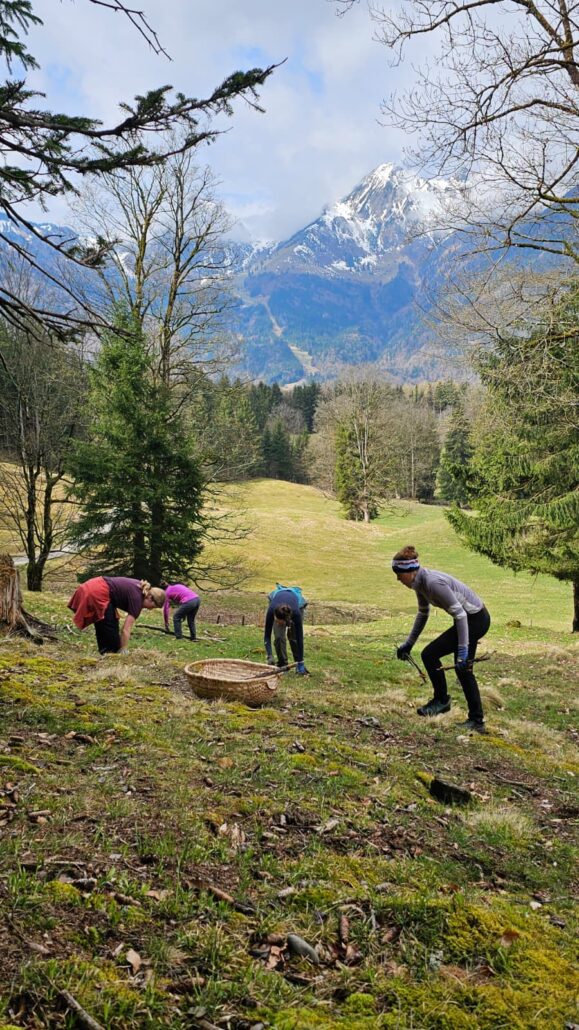 Schwendaktionen Achental 7